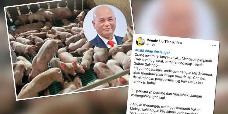 Ronnie Liu Desak Kerajaan Madani Selesaikan Segera Isu Penternakan Babi, Elak Hilang Keyakinan Bukan Melayu