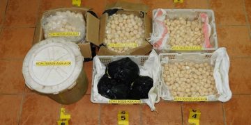 Warga Indonesia Dipenjara 12 Bulan Seludup Lebih 2,000 Telur Penyu