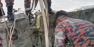 Bomba Selamatkan Lembu Seberat 250kg Jatuh Dalam Longkang Di Subang Bistari