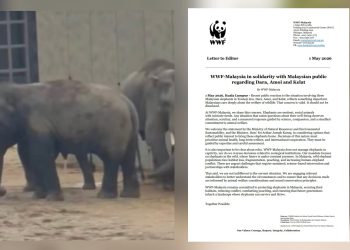 WWF-Malaysia Sokong Kebimbangan Rakyat Isu Tiga Gajah di Zoo Jepun