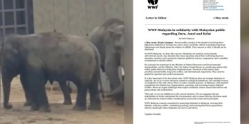 WWF-Malaysia Sokong Kebimbangan Rakyat Isu Tiga Gajah di Zoo Jepun
