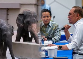PM Anwar Arah NRES, Zoo Taiping Pastikan Kebajikan Tiga Gajah Di Jepun
