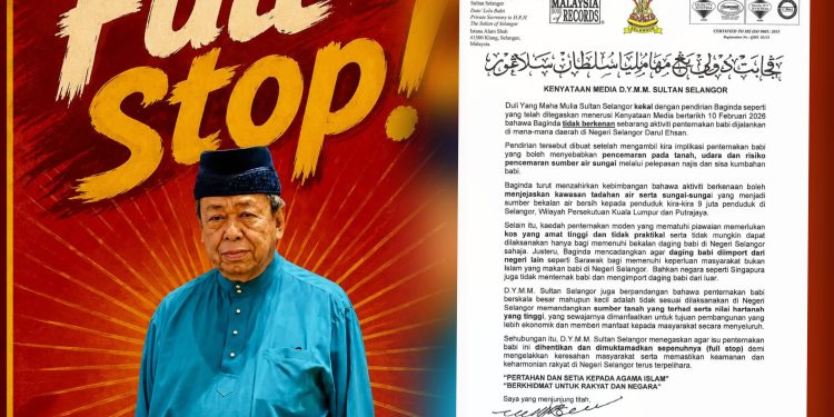 Sultan Selangor Titah ‘Full Stop’,  Tiada Penternakan Babi Di Mana-Mana Daerah Di Selangor