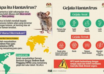Jangkitan Hantavirus: KKM Minta Rakyat Tidak Panik, Berwaspada