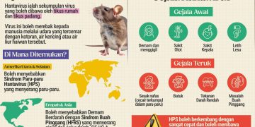 Jangkitan Hantavirus: KKM Minta Rakyat Tidak Panik, Berwaspada
