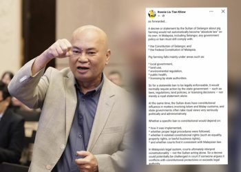 Titah Sultan Berpotensi Dicabar Di Mahkamah – Ronnie Liu