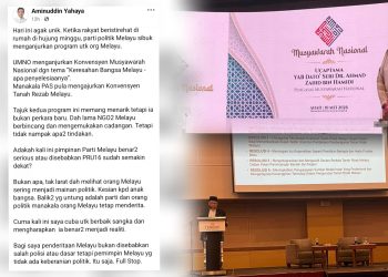 Konvensyen Melayu: ‘Balik-Balik Yang Untung Parti Dan Orang Politik’
