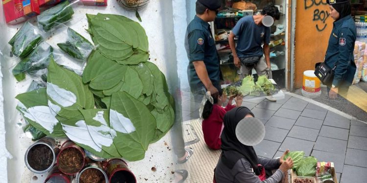 Warga Asing Berniaga Sireh, Rokok Putih, Makanan, Buah Potong, Aksesori Tanpa Lesen