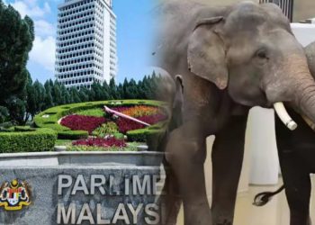 Jawatankuasa Parlimen Mahu Teliti Dokumen Perjanjian Pemindahan Gajah DAK Ke Jepun