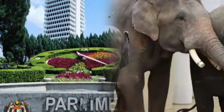 Jawatankuasa Parlimen Mahu Teliti Dokumen Perjanjian Pemindahan Gajah DAK Ke Jepun