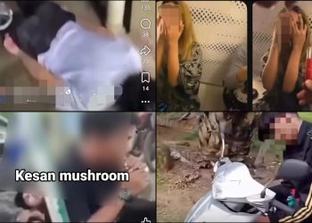 Woi Badigol… Vape Mushroom Tengah Menjahanamkan Anak Bangsa!
