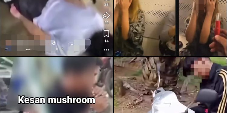 Woi Badigol… Vape Mushroom Tengah Menjahanamkan Anak Bangsa!