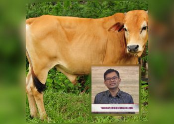 Berita Baik Harga Daging Lembu Turun 2 Peratus RM38.45 Sekilogram – Menteri Ekonomi