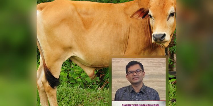 Berita Baik Harga Daging Lembu Turun 2 Peratus RM38.45 Sekilogram – Menteri Ekonomi