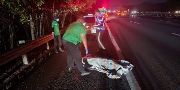 Misteri Lelaki Maut Di Lorong Kecemasan, Polis Cari Rakaman Dashcam
