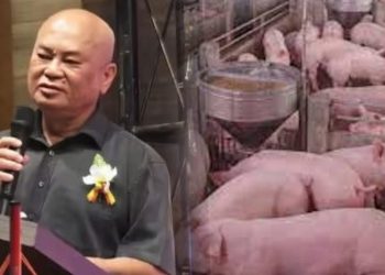 PRN Johor: Ronnie Liu Puji Calon Bersama Bangkit Isu Penternakan Babi