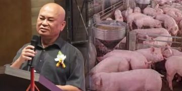PRN Johor: Ronnie Liu Puji Calon Bersama Bangkit Isu Penternakan Babi
