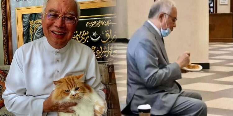 PH Tersalah Main Naratif, PRN Johor Tiada Kaitan Pembebasan Najib