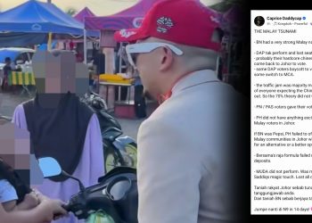 Mungkin Ramai Pengundi Cina Tidak Pulang Mengundi – Caprice