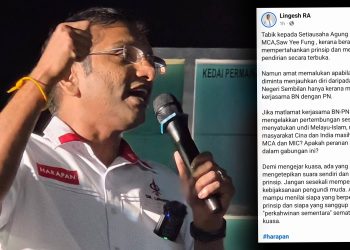 Mengapa Cina India Perlu Sokong MCA MIC? BN-PN Mahu Satukan Undi Melayu-Islam – Senator DAP
