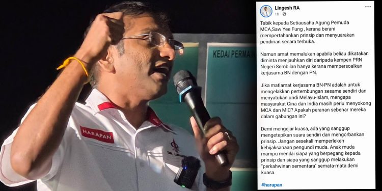 Mengapa Cina India Perlu Sokong MCA MIC? BN-PN Mahu Satukan Undi Melayu-Islam – Senator DAP