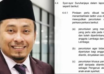 Syor RCI Jangan Lantik Ahli Politik ‘Dibakulsampahkan’ Madani – Fadhli Shaari