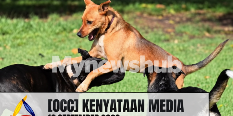 Suhakam Gesa Tindakan Proaktif Tangani Ancaman Anjing Liar