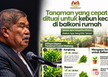 Rakyat Diseru Tanam Kangkung Di Rumah Bekalan Untuk Keluarga