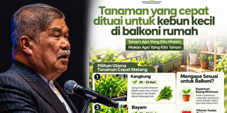 Rakyat Diseru Tanam Kangkung Di Rumah Bekalan Untuk Keluarga