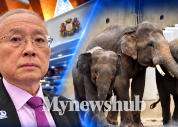 Kata Tiada Maklumat, Tapi Boleh Pula Dapat Maklumat Daripada MPT?’ – Ka Siong Persoal KPKT Isu Tiga Gajah DAK