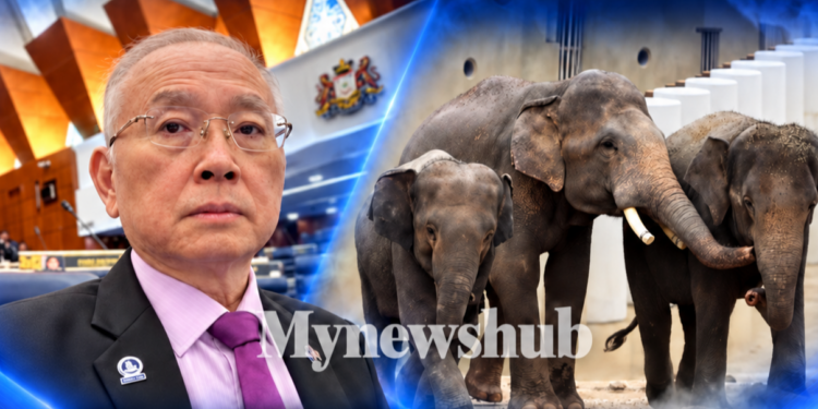Kata Tiada Maklumat, Tapi Boleh Pula Dapat Maklumat Daripada MPT?’ – Ka Siong Persoal KPKT Isu Tiga Gajah DAK