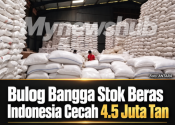Bulog Bangga Stok Beras Kerajaan Indonesia Cecah 4.5 Juta Tan, Dakwa Jauh Atasi Stok Penimbal Malaysia