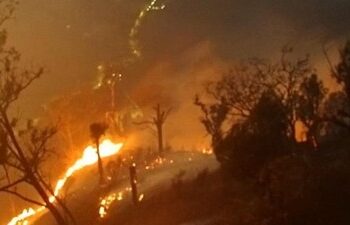 16 Syarikat Indonesia Terlibat Bakar Hutan, Hanya Satu Pada Malaysia – Polis Indonesia