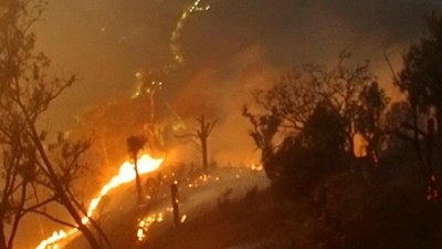 16 Syarikat Indonesia Terlibat Bakar Hutan, Hanya Satu Pada Malaysia – Polis Indonesia